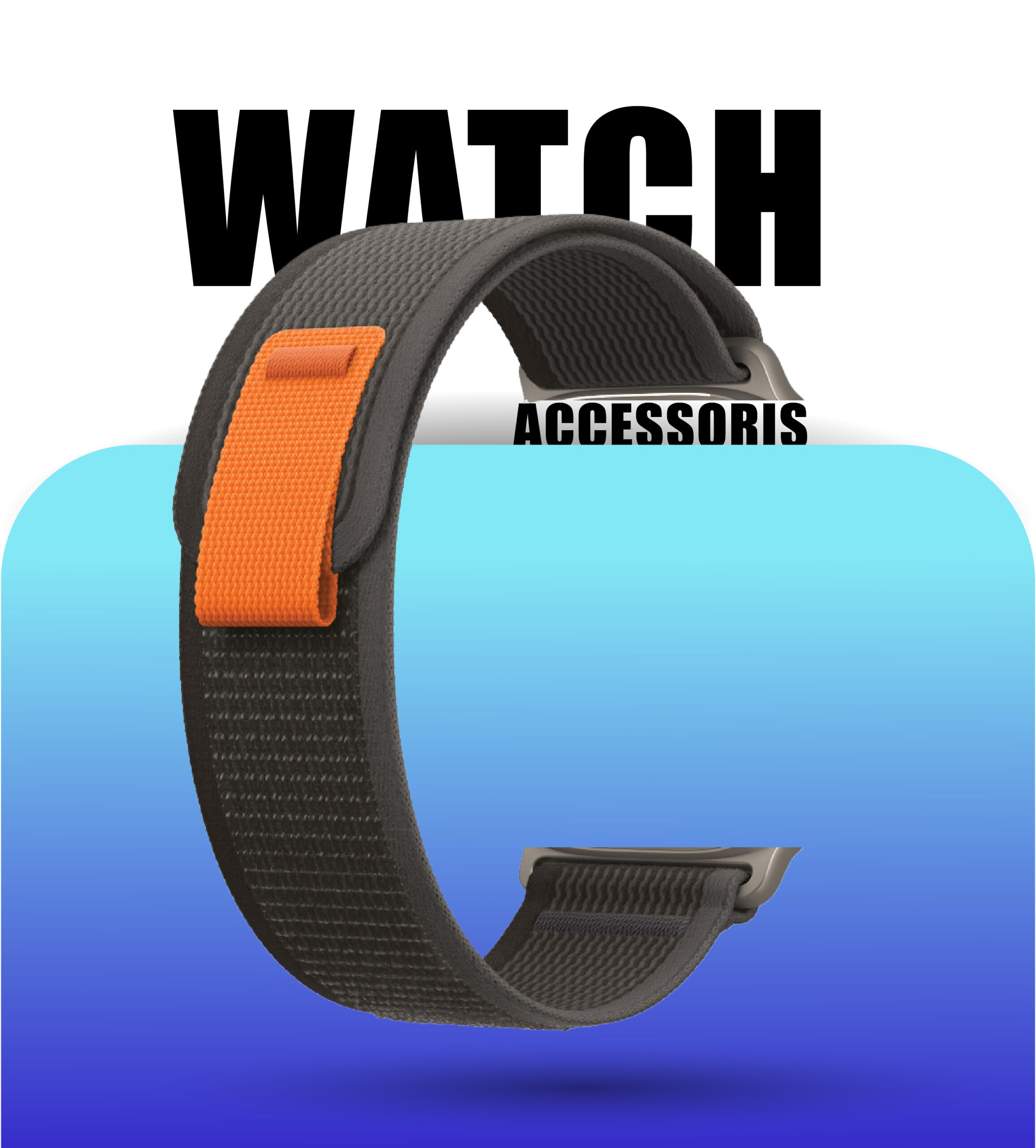 Watch accessories